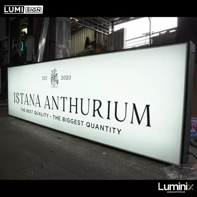 Lumisign Ht Istana Anthurium